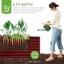 Best Choice Products 8x4x2ft Outdoor Metal Raised Garden Bed, Deep Root Planter Box for Vegetables, Flowers, Herbs, and Succulents w/ 478 Gallon Capacity - Royal Red by GreenHaven Gardens