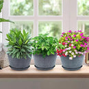 Quarut 10 Inch Flower Pots Planters for Outdoor Indoor, 3 Pack Plastic Plant Pots with Drainage Hole & Tray, Modern Decorative Garden Pot with Saucer, planters for House (Gray) by GreenHaven Gardens