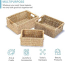 VATIMA Seagrass Baskets with Wooden Handles, Set of 3 Decorative Natural Wicker Baskets for Kitchen by CozyNest Decor