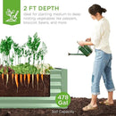 Best Choice Products 8x4x2ft Outdoor Metal Raised Garden Bed, Deep Root Planter Box for Vegetables, Flowers, Herbs, and Succulents w/ 478 Gallon Capacity - Sage Green by GreenHaven Gardens