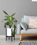 D'vine Dev Ceramic Planter with Ebony Stand - 10 Inch Modern Round Flower Pot with Wood Planter Holder, White, 55-B-L-1 by CozyNest Decor