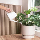 Elly Décor 10 inch Plastic Cylinder Planter Pot with Self-Watering Saucer and Drainage Hole,Lightweight & Extremely Durable, 10"x 10", Ivory by GreenHaven Gardens
