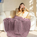 NEXHOME PRO Soft Twin Blankets for Couch, Reversible Warm Blankets Cozy Knit Blanket for Women, Fuzzy Plush Lightweight Throws for Sofa, Bed, Picnic, Wine 60 x 80 inches by TinyTreasures Baby Boutique