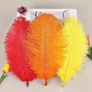 THARAHT Red Orange Yellow Ostrich Feathers 12pcs Natural Bulk 8-10Inch 20cm-25cm for Crafts Wedding Party Centerpieces Halloween and Home Decoration Feathers by CozyNest Decor
