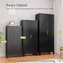 Metal Storage Cabinet With 2 Doors and 3 Adjustable Shelves, Black Kitchen Pantry for Food, Utility Cabinet for Laundry Room, Cupboard by CozyNest Decor