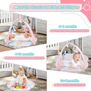 Baby Play Mat, 4-in-1 Baby Play Gym Tummy Time Mat with Ball Pit and 5 Detachable Toys for Newborn to Develop Sensory Exploration and Motor Skill 0-6-12 Months by TinyTreasures Baby Boutique