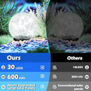 Garden Solar Ball Lights Outdoor Waterproof, 30 LED Cracked Glass Globe Solar Power Ground Lights for Path Yard Patio Lawn, Christmas Decoration Landscape White(2 Pack 3.9'') by GreenHaven Gardens