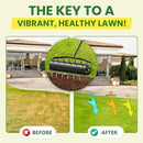 Manual Roller Lawn Aerator,Heavy-Duty Hand Lawn Aerator with Pre-Attached Spike for Yard and Garden,Easy-to-Assemble Lawn Aerator Tool for Compact Soil,Lawn Aerator for Lawn Care (Black) by GreenHaven Gardens