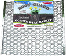 Digger’s 1-Gallon Heavy-Duty Wire Basket - Gopher Wire Basket for Perennials & Vegetables (12 Baskets) by GreenHaven Gardens
