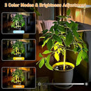 4 Pack Wireless Spot Lights Indoor, Battery Operated Uplighting, Mini Spotlight with Remote 3CCT Tree Lights Indoor, Accent Wall Lights for Display Plant Picture Dartboard by CozyNest Decor