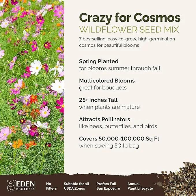Eden Brothers Crazy for Cosmos Flower Mixed Seeds for Planting, 50 lb, 24,000,000+ Seeds with Cosmos Gloria, Pinkie, Purity, Attracts Pollinators, Plant in Spring or Fall, Zone 3, 4, 5, 6, 7, 8, 9, 10, photo 2 of 6