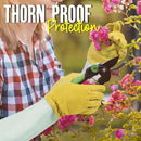 HANDLANDY Rose Gloves for Men & Women, Long Leather Gardening Gloves Thorn Proof, Best Garden Gifts & Tools for Gardener (Yellow-beige, X-Large (Pack of 1)) by GreenHaven Gardens