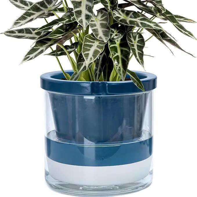 D'vine Dev 10 Inch Design Self Watering Planter for Indoor Plants, Blue Terracotta Pot with Cylinder Glass Cup, 37-X-D-4