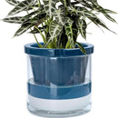 D'vine Dev 10 Inch Design Self Watering Planter for Indoor Plants, Blue Terracotta Pot with Cylinder Glass Cup, 37-X-D-4 by GreenHaven Gardens