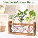 Lifecapido Heart Shaped Propagation Stations, Plant Terrarium with Wooden Stand, Plant Propagation Station for Hydroponics Plants Office Garden Home Decor, Gifts for Women Plant Lover (3 Vases, Pink) by GreenHaven Gardens