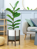 D'vine Dev Ceramic Planter with Walnut Color Stand - 12 Inch Modern Round Flower Pot with Wood Planter Holder, White/Grey, 55-B-W-6 by CozyNest Decor