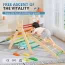 BlueWood 10-in-1 Pikler Triangle Set, Toddler Climbing Toys Indoor, Montessori Climber, Baby Jungle Gyms with Arch, Extra Rope Ladder & Footprint Balance Beam - Neon Aurora by TinyTreasures Baby Boutique