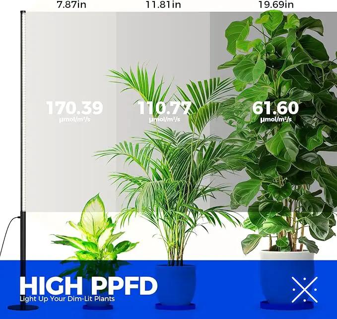 Barrina T10 Pro Standing Grow Light with Timer, 42W, 5000K, Full Spectrum Vertical Tall Grow Lights for Indoor Plants, Wide Coverage, 4FT to 5.6FT Height with Foot Switch, for Flower and Tall Plants, photo 5 of 9