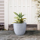 Kante 14 Inch Dia Round Concrete Planter, Indoor Outdoor Large Plant Pot with Drainage Hole and Rubber Plug for Home Patio Garden, Slate Gray by GreenHaven Gardens