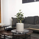 Ekirlin 5 Inch Flower Plant Pot Indoor - Grey Cement Garden Planter Concrete Planter with Drain Hole Saucer, Modern Succulents Containers for Home Decor, Office & Outdoor by GreenHaven Gardens