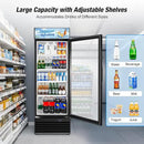 Commercial Beverage Refrigerator, 24 Inch Beverage Fridge, 15 Cu. Ft. Drink Fridge, Display Refrigerator Glass Door, Commercial Display Fridge with Customizable Light Box for Shops, Restaurants, Bars by CozyNest Decor