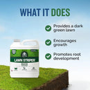Turf Titan Lawn Striper - Iron & Nitrogen Fertilizer to Promote Dark-Green, Stripe-Defined Turfs - Kids & Pet Safe, Natural Lawn Fertilizer - Stunning Green Grass Fertilizer - Covers up to 8,000 Sq Ft by GreenHaven Gardens