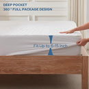 BEDLORE 2 Pack Waterproof Mattress Protector, Twin XL Size Mattress Pad with Deep Pocket Fitted Up to 6-15 inches, Soft Noiseless Single Bed Mattress Cover for Bedroom (White) by TinyTreasures Baby Boutique