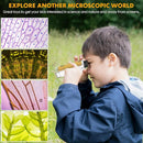 Portable Microscope for Kids, 100x-250x Zoom with LED Lights, Alloy Pocket Microscope for Boys & Girls, Educational Science Kit (Gold) by TinyTreasures Baby Boutique