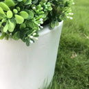 Kante 9.8" Dia Round Concrete Planter, Modern Style Large Cylindrical Plant Pot with Drainage Hole and Rubber Plug for Indoor Outdoor Patio, Pure White by GreenHaven Gardens