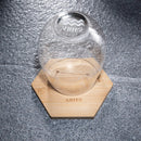 Set of 2 Zodiac Sign Wine Glasses with 2 Wooden Coasters (Aries)