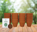 Buzzy Seeds Terracotta Mini Grow Pots | Herb, Plant, Flower Starter Kit for Kids & Adults | Assorted 20-Pack, | Lavender Seeds Guaranteed to Grow | Best Indoor Grow Your Own Plant Gardening Gift by GreenHaven Gardens