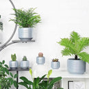 8 Inch + 6 Inch Ceramic Plant Pots Indoor with Drainage – Flower Pot Set, Decorative Indoor Planters for House Plants and Garden Use by CozyNest Decor