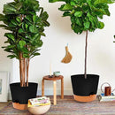 GARDIFE 12 inch Plant Pots, planters,Self Watering Pots, 2 Pack Large Plastic Flower pots with Deep Reservior and High Drainage Holes for Indoor Outdoor Plants and Flowers, Black by GreenHaven Gardens