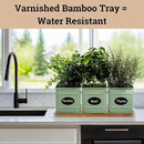 Herb Planter Indoor - 3 Iron Herb Pots with Drainage Holes, Varnished Bamboo Tray, Customizable Labels & Marker Pen - Indoor Herb Garden Planter - 3 Pots for Herbs - Inside Spice Garden - Basil Pot
