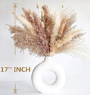 Dried Pampas Grass Decor, 128PCS Pampas Grass with Bunny Tails Dried Flowers, Reed Grass Bouquet for Wedding, Boho Flowers, Home Table Decor, Rustic Farmhouse Party by CozyNest Decor