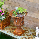 Sungmor Heavy Duty Cast Iron Urn Planter, Beautiful Hollow Trophy Design Tall Orchid Flower Pot, Large Decorative Plastic Flowers Plants Bouquets Vase, Rustic French Country Pot for Home or Garden by CozyNest Decor