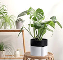 8 Inch Self-Watering Planter Pot with Terracotta Insert, Deep Water Reservoir, and Ceramic-Alike BPA-Free Plastic Planter Pot for Plant, Modern Planter for Houseplants, White/Black, 53-B-T-4 by GreenHaven Gardens