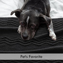 MIULEE Black Knitted Throw Blanket for Couch Textured Knit Blanket with Tassels Cozy Woven Boho Bed Blanket for Sofa Bed Chair Acrylic Wave Pattern 50"x60" by CozyNest Decor