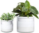 Phoenix Vine 6 Inch 4 Inch Self Watering Planter Pots, Design White Terracotta Pots for Plants, Indoor Cylinder Terra Cotta Pots with Glass Vase Set, 51-B-G-46 by GreenHaven Gardens