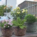 11 inch Plant Pot, 3 Pack Large Pots for Plants, Flower Pots with Drainage Hole & Saucer, Modern Planters for Indoor Outdoor Plants, Decorative Plastic Garden Pots (Copper) by CozyNest Decor