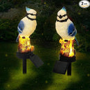 2 Pack Blue Jay Solar Lights Blue Jay Outdoor Decor Bluebird Solar Light Bird Figurine Garden Stake for Pathway Garden Lawn Yard Cemetery Decoration by GreenHaven Gardens