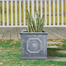 Kante Square Lion Head Concrete Planter, Classic English Style Plant Pot with Drainage Hole and Rubber Plug for Indoor Outdoor Garden Patio Home, 12.6"x12.6"x12.6" Antique Gray by GreenHaven Gardens