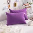 NTBAY Toddler Pillows, Down Alternative 13"x18" Pillows, Machine Washable - Soft and Breathable Travel Small Pillows for Sleeping, Ideal for Daycare, Crib, Cot, Purple by TinyTreasures Baby Boutique