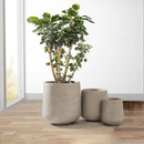 Kante 15.3"+11.6"+8.2" Dia Round Concrete Planter, Large Outdoor Indoor Planter Pots Containers with Drainage Holes and Rubber Plug for Home Garden Patio, Weathered Concrete by GreenHaven Gardens