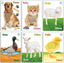 My Touch and Feel English Spanish Bilingual Picture Double Sided Sensory Flash Cards for Infant, Toddlers, Kids, Learn Animals, Fruits, Objects and Vehicles, Fun Learning and Educational Flashcards by TinyTreasures Baby Boutique