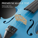 4/4 Beginner Violin Kit for Adults, Complete Full Size Violin Set with Portable Case, Bow, Rosin, Sky Blue by TinyTreasures Baby Boutique