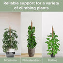 2 Pack 28'' Bendable Moss Pole Monstera Plant Support for Climbing Indoor Plants - Stakes for Potted Climbers - Tall Sticks Indoor Trellis for Houseplants - Accessories for Monstera Pot by GreenHaven Gardens