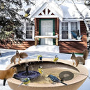 Bird Bath Heater Pond Heater 70W Shallow Water Pond deicer Energy-Saving, thermostatically Controlled Winter Outdoor with a Protective Socket Cover (Single ice Melter) by GreenHaven Gardens