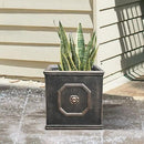 Kante Square Lion Head Concrete Planter, Classic English Style Plant Pot with Drainage Hole and Rubber Plug for Indoor Outdoor Garden Patio Home, 12.6"x12.6"x12.6" Oil Rubbed Bronze by GreenHaven Gardens