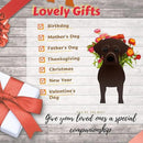 Chocolate Labrador Dog Planter Plant Pots,Cute Garden Dog Flower Planter,Dog Planters Birthday Gifts for Women,Office,Indoor/Outdoor Decor(9.45 * 6.38 * 13.39in) by GreenHaven Gardens